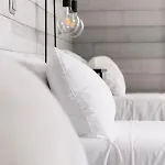 Hostal Les Du Diu Biban *